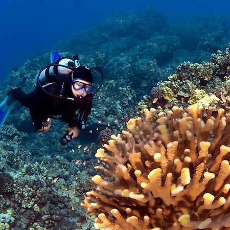 Wailea Ekolu 1604 Villa Kihei Dış mekan fotoğraf