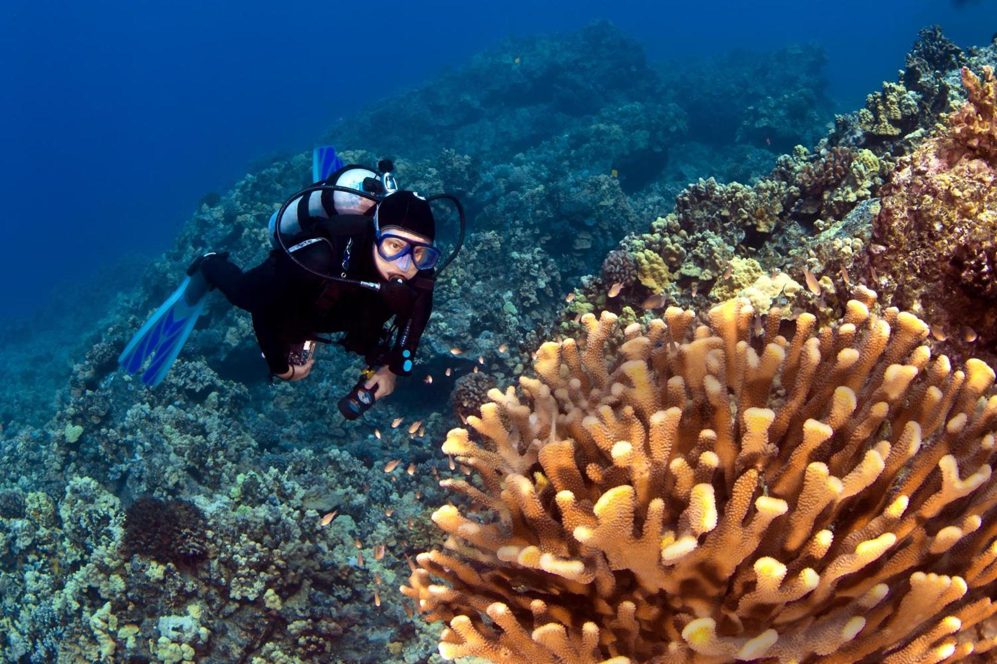Wailea Ekolu 1604 Villa Kihei Dış mekan fotoğraf